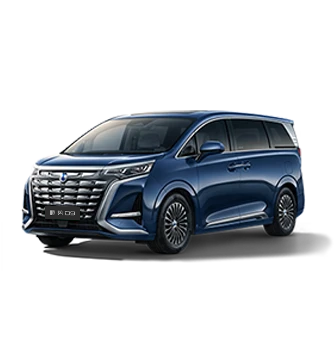 2024款庄闲游戏D9